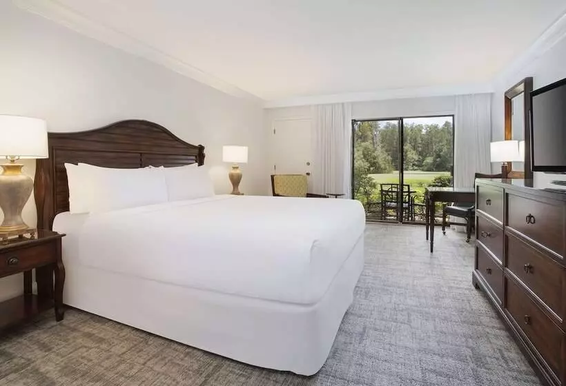 デラックスルーム, Saddlebrook Resort