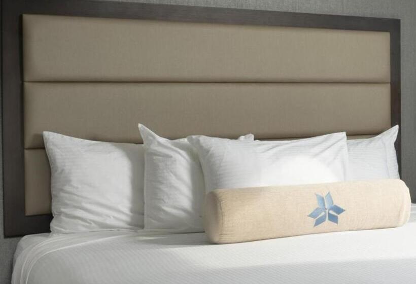 غرفة قياسية لذوى الاحتياجات الخاصة, Shangri La Resort