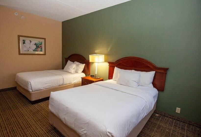 ２ダブルベッドのスタンダードルーム, Baymont By Wyndham Knoxville/cedar Bluff