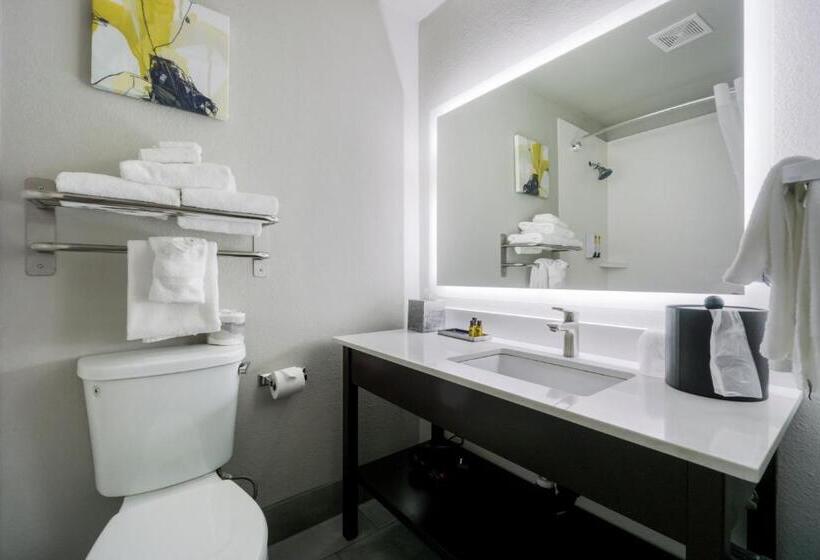 스탠다드 룸 킹사이즈 침대, Best Western Plus Renton Inn