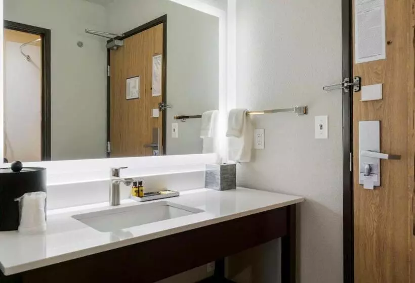 اتاق استاندارد با تخت بزرگ, Best Western Plus Renton Inn