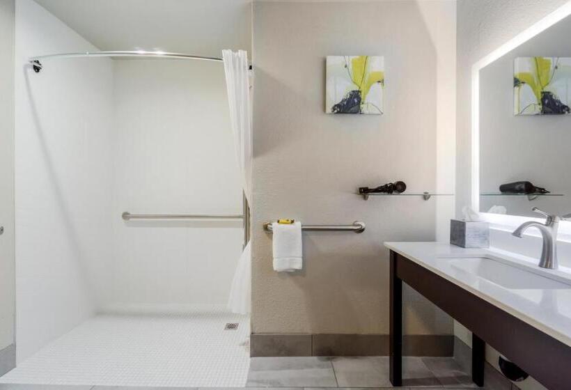 장애인을 위한 킹사이즈 침대 스탠다드 룸, Best Western Plus Renton Inn