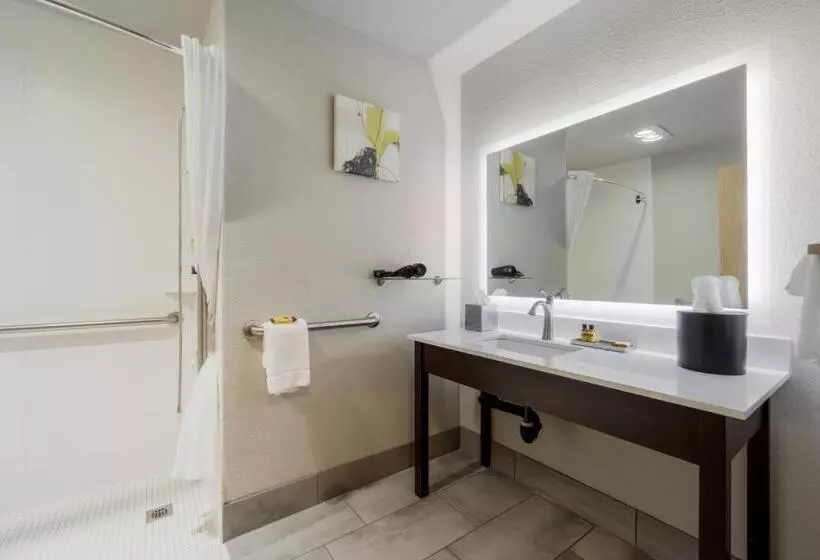 اتاق استاندارد با تخت بزرگ برای معلولان, Best Western Plus Renton Inn