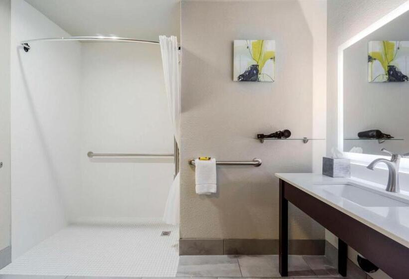 Номер Стандарт Кровать Кинг Адаптированный для Инвалидов, Best Western Plus Renton Inn
