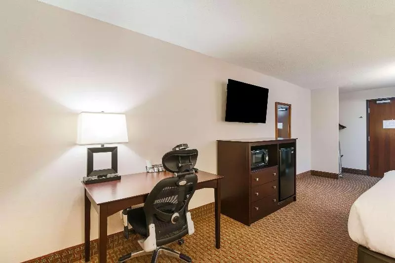 اتاق استاندارد با تخت بزرگ, Clarion Hotel Convention Center