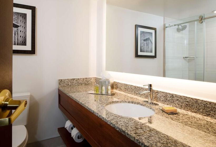 Junior Suite, Doubletree By Hilton  Pittsburghcranberry