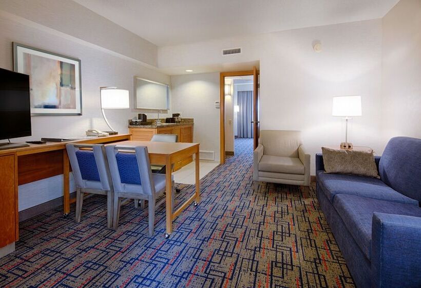 Suite Przystosowany dla Osób Niepełnosprawnych, Embassy Suites By Hilton Chicago O Hare Rosemont