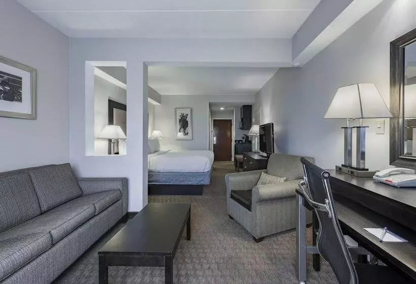 スイート, Holiday Inn Express & Suites Laurel Lakes, An Ihg