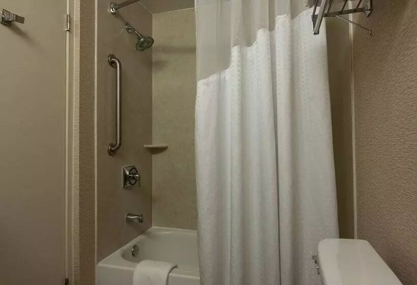 スイート, Holiday Inn Express & Suites Laurel Lakes, An Ihg