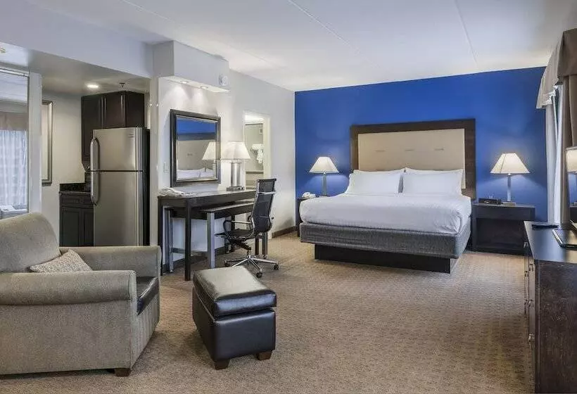 スイート, Holiday Inn Express & Suites Laurel Lakes, An Ihg