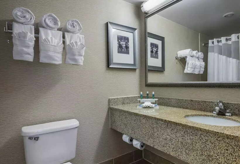 2ダブルベッドのスタンダードルーム, Holiday Inn Express & Suites Laurel Lakes, An Ihg