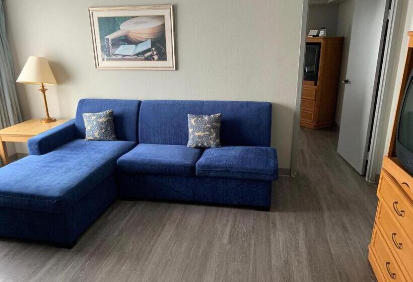 سوئیت با تخت بزرگ, Ramada By Wyndham Nashville/music Valley