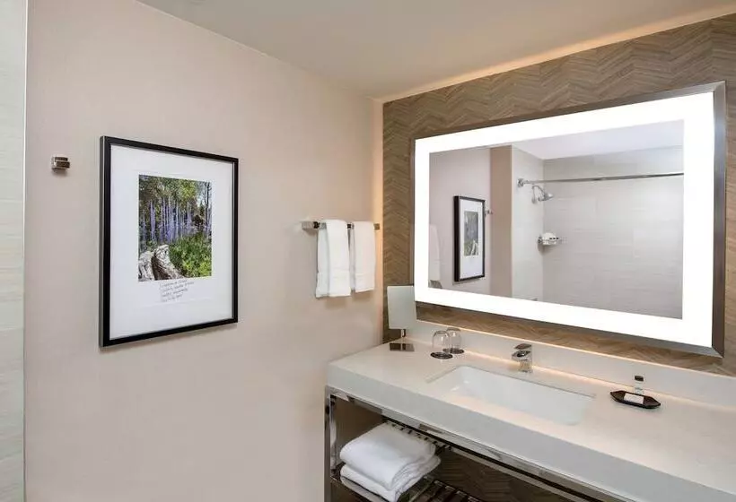اتاق استاندارد با 2 تخت دوبل, Sheraton Grand Seattle