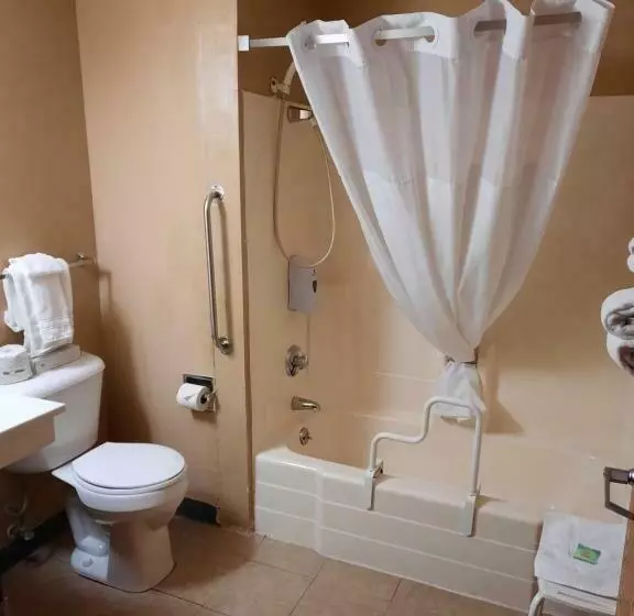 اتاق استاندارد با تخت بزرگ برای معلولان, Super 8 By Wyndham Watertown