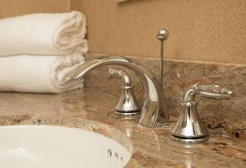 身障者適用キングサイズベッドルーム, Showboat Hotel Atlantic City