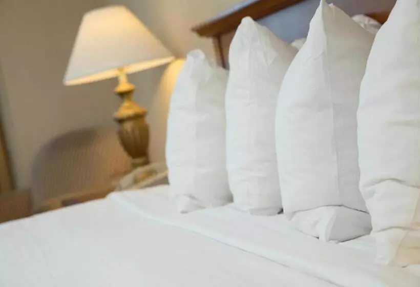 سوئیت جونیور با تخت بزرگ, Showboat Hotel Atlantic City
