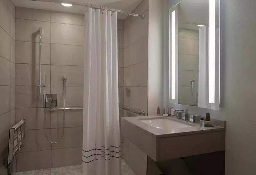 障害者適応デラックスルーム, Winstonsalem Marriott