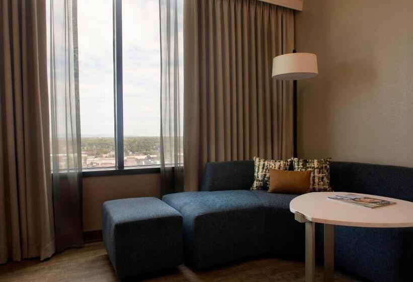 障害者適応デラックスルーム, Winstonsalem Marriott