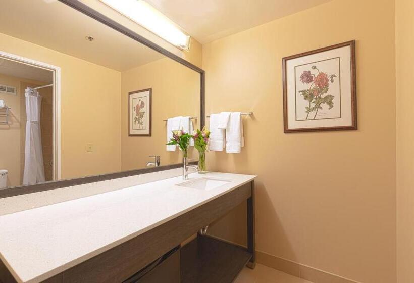 Номер Стандарт, Coast Wenatchee Center