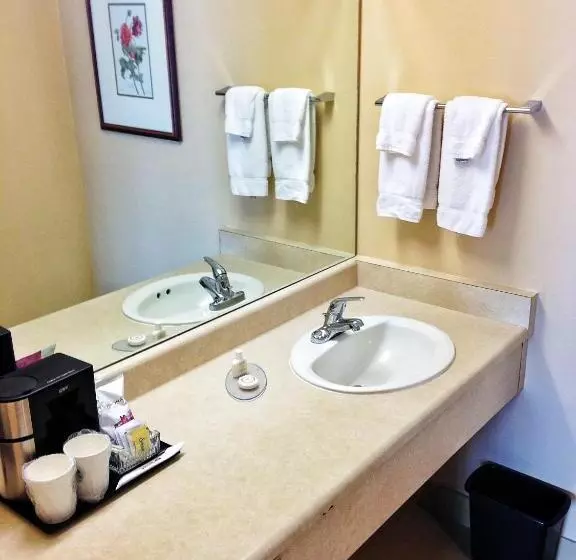 اتاق استاندارد با تخت بزرگ, Coast Wenatchee Center