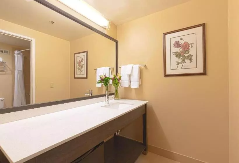 اتاق استاندارد با تخت بزرگ, Coast Wenatchee Center