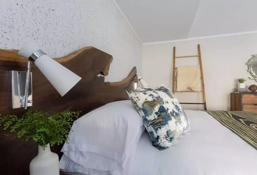 デラックスルーム, Field Guide Lodge
