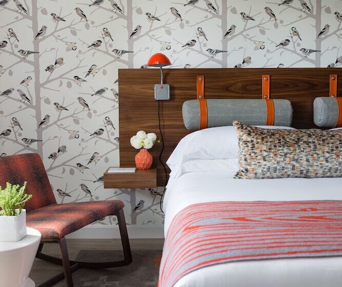 اتاق لوکس, Field Guide Lodge