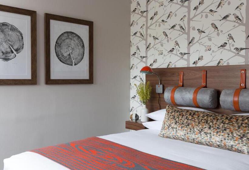 اتاق استاندارد, Field Guide Lodge