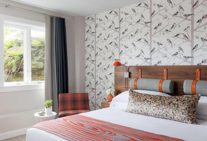 سوئیت با تخت بزرگ, Field Guide Lodge