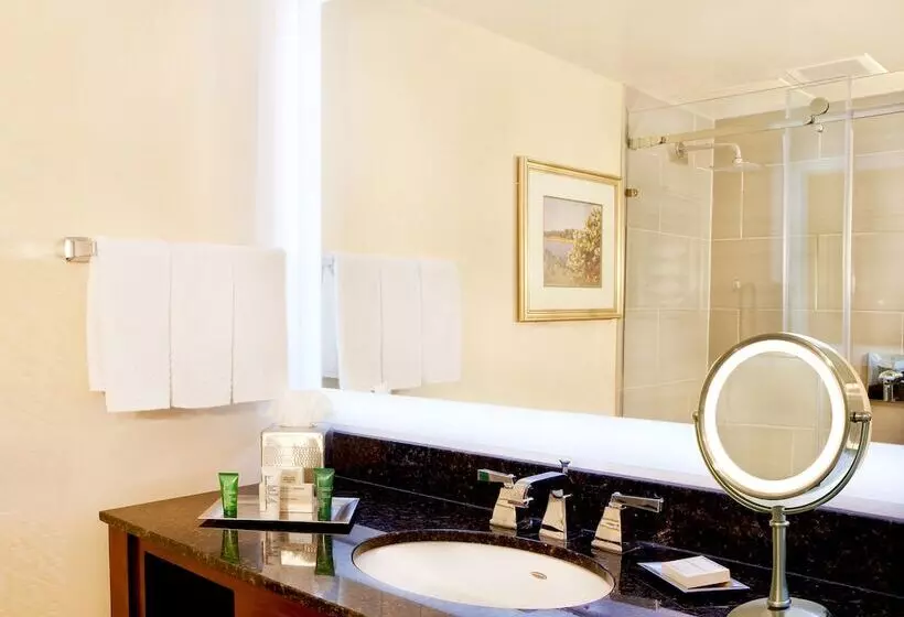 エクゼクティブルーム, Hilton Woodcliff Lake