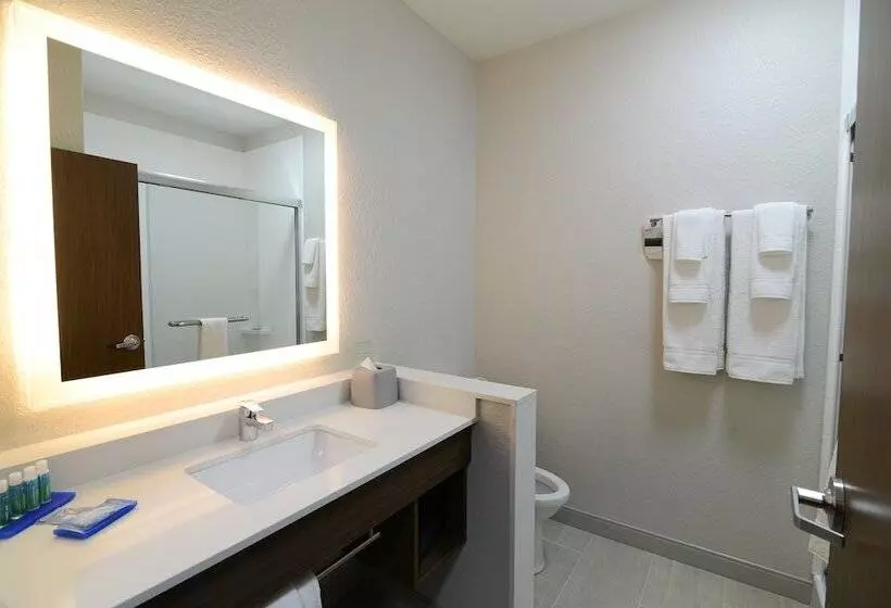 身障者適用スイートルーム, Holiday Inn Express & Suites Chicago North Shore   Niles, An Ihg