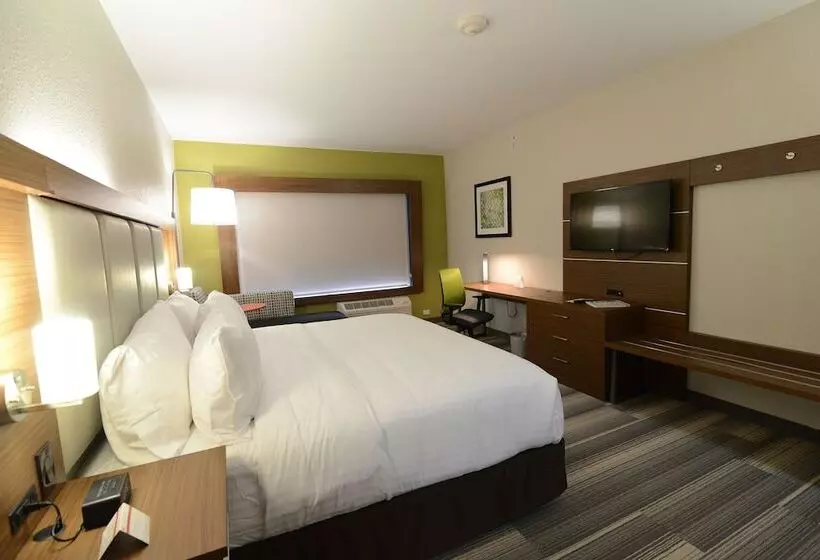 身障者適用スイートルーム, Holiday Inn Express & Suites Chicago North Shore   Niles, An Ihg