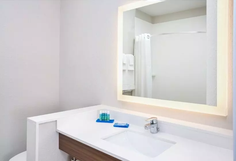 スタンダードルーム, Holiday Inn Express & Suites Chicago North Shore   Niles, An Ihg