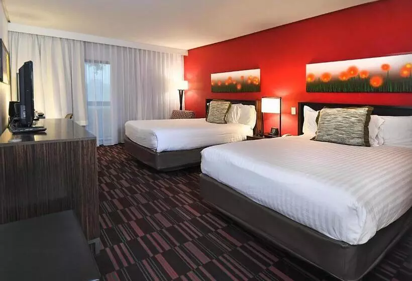 اتاق استاندارد, Holiday Inn Irving Las Colinas, An Ihg