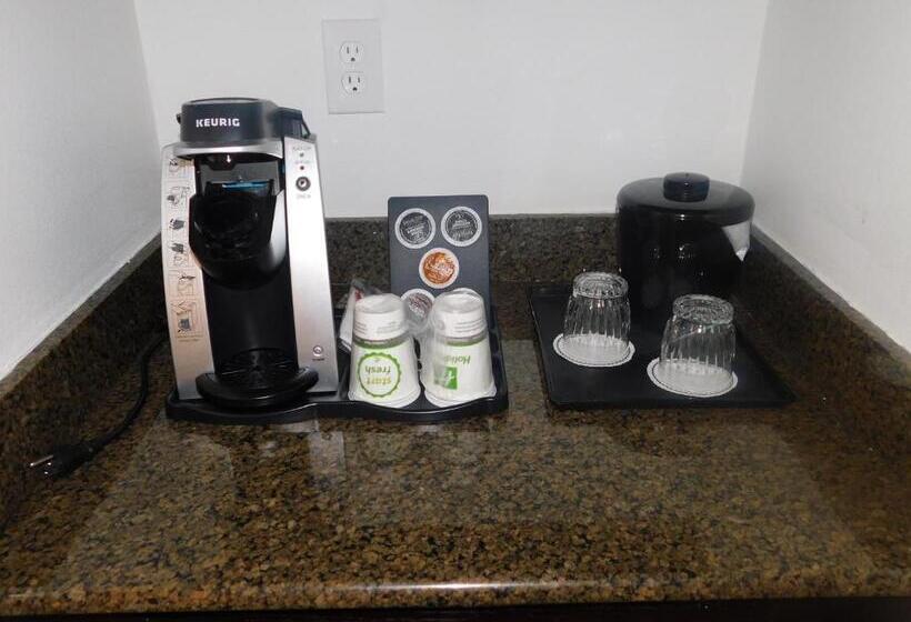 스탠다드 룸, Holiday Inn Irving Las Colinas, An Ihg