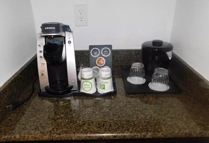 اتاق استاندارد با 2 تخت دوبل, Holiday Inn Irving Las Colinas, An Ihg