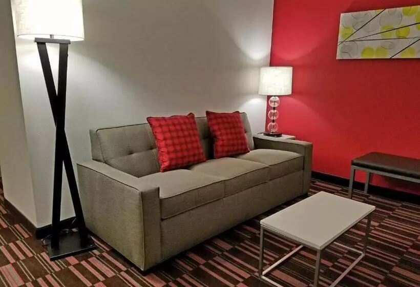 سوئیت با تخت بزرگ, Holiday Inn Irving Las Colinas, An Ihg