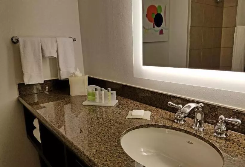 سوئیت با تخت بزرگ, Holiday Inn Irving Las Colinas, An Ihg