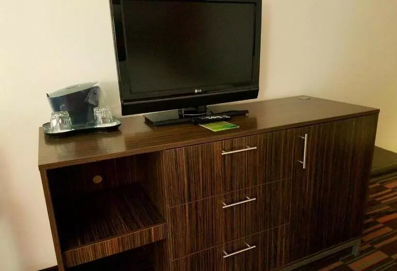 اتاق دلوکس مخصوص معلولین, Holiday Inn Irving Las Colinas, An Ihg