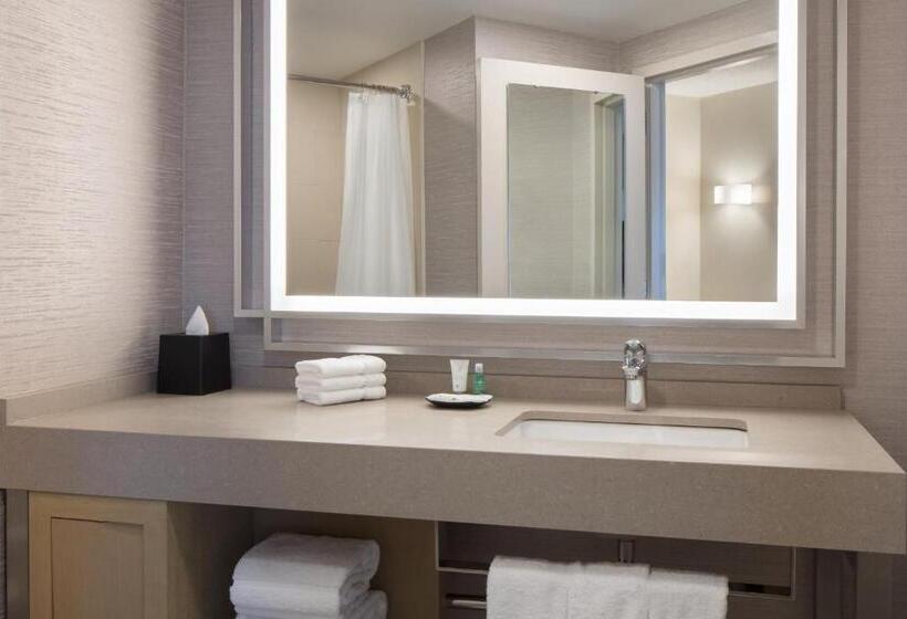 غرفة إدارية سرير كينج, The Westin Kansas City At Crown Center