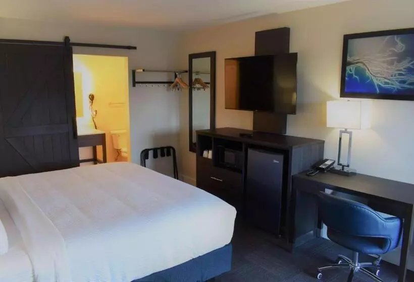 اتاق استاندارد با تخت بزرگ, Travelodge By Wyndham Santa Rosa Wine Country