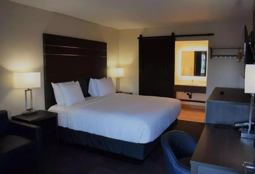 اتاق استاندارد با تخت بزرگ, Travelodge By Wyndham Santa Rosa Wine Country