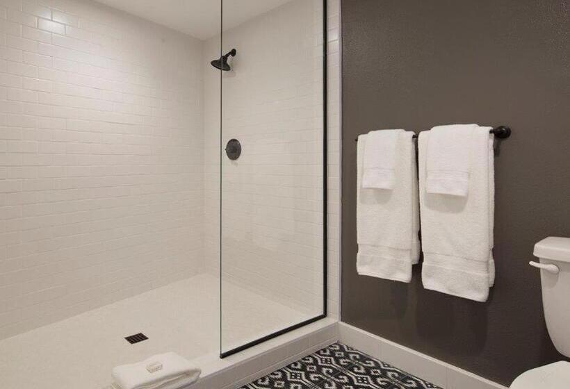 Standard-invahuone, V Palm Springs