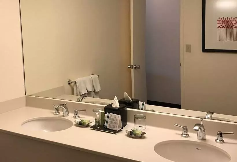 اتاق لوکس با بالکن, Washington Plaza