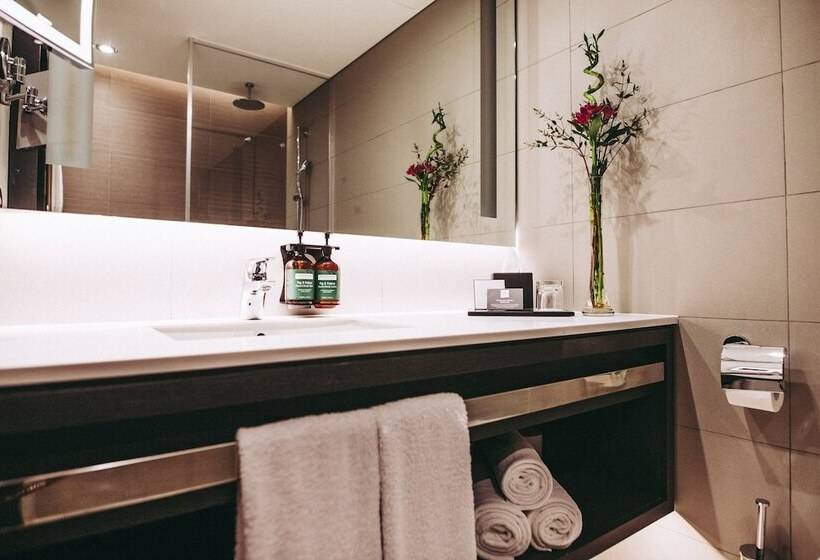 Camera Standard, Crowne Plaza Belgrade, An Ihg