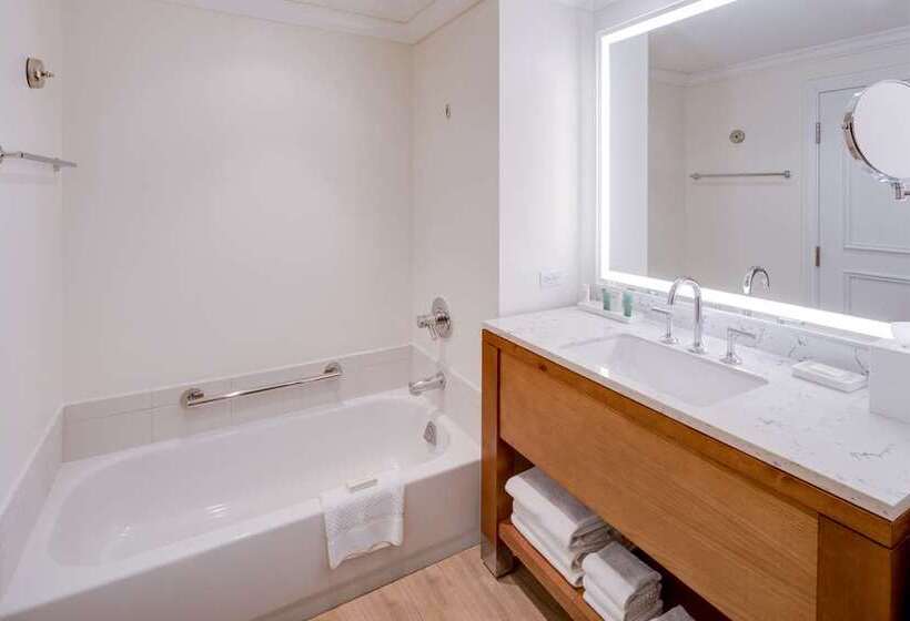 اتاق استاندارد با 2 تخت دوبل, Hilton Barbados Resort