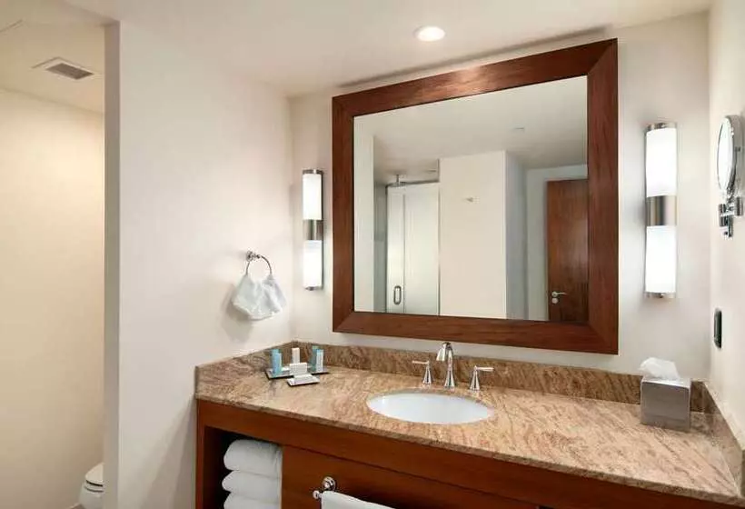 اتاق لوکس با تخت بزرگ, Hilton Trinidad & Conference Centre