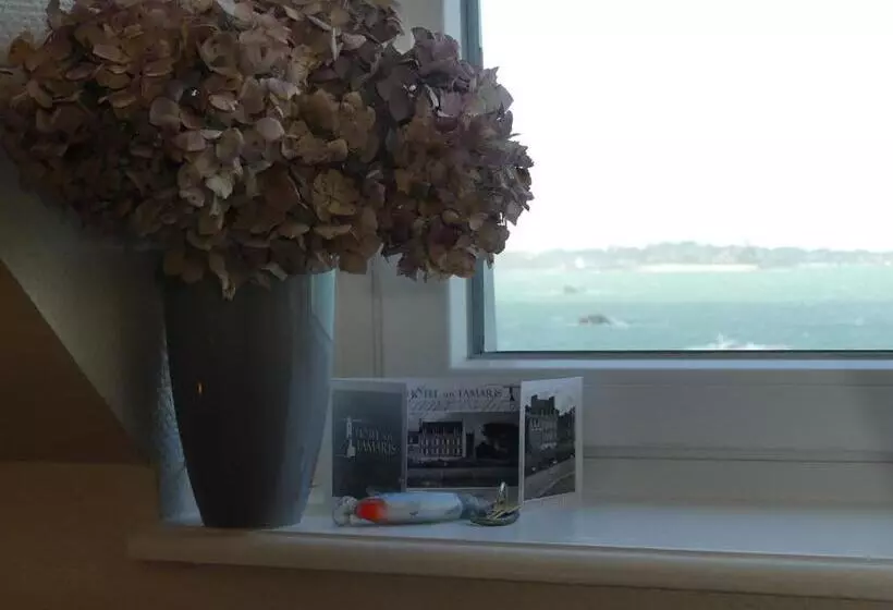 اتاق راحتی با چشم‌انداز دریا, Hôtel Aux Tamaris   Vue Mer