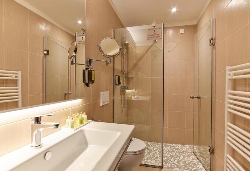 Suite with Terrace, Pine