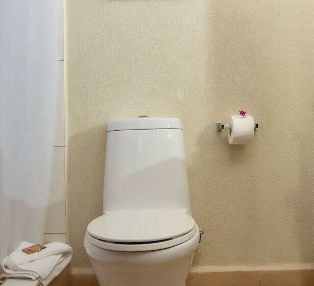 اتاق استاندارد با چشمانداز دریا, Starfish Tobago